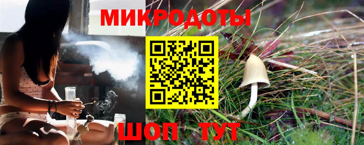 Псилоцибиновые грибы Cubensis Бузулук