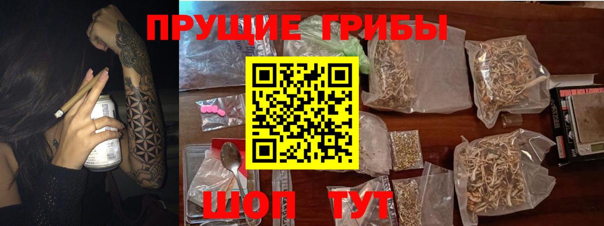 Бузулук  Псилоцибиновые грибы Cubensis  продажа наркотиков  Вход с VPN  Галлюциногенные грибы Cubensis 